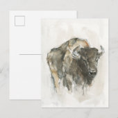 Amerikaanse Buffalo I Briefkaart (Voorkant / Achterkant)