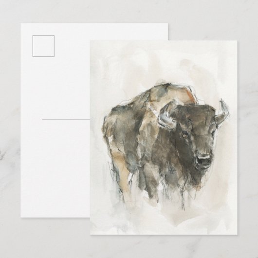 Amerikaanse Buffalo I Briefkaart (Voorkant / Achterkant)