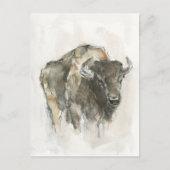 Amerikaanse Buffalo I Briefkaart (Voorkant)