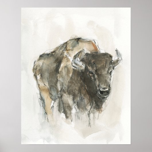 Amerikaanse Buffalo I Poster (Voorkant)