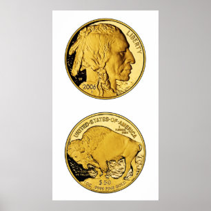 Amerikaanse Buffalo Proof Gold Bullion Coin 2006 Poster
