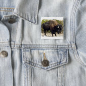 Amerikaanse Buffalo Square Pin Vierkante Button 5,1 Cm (In situ)