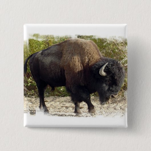 Amerikaanse Buffalo Square Pin Vierkante Button 5,1 Cm (Voorkant)