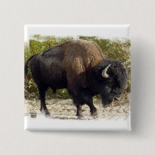 Amerikaanse Buffalo Square Pin Vierkante Button 5,1 Cm