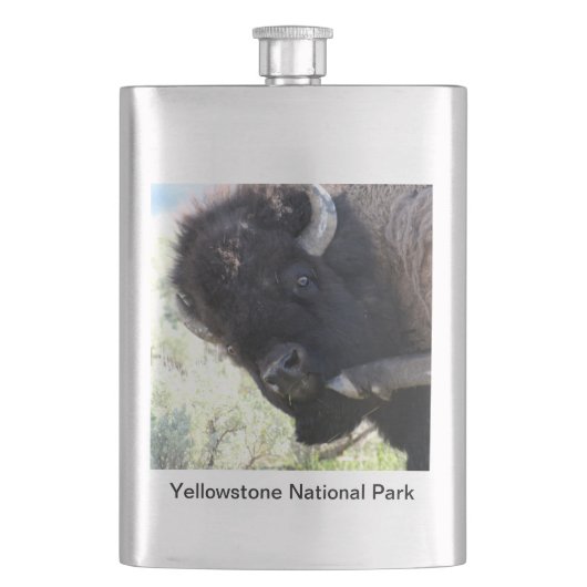 Amerikaanse buffel in het nationale park van Yello Heupfles (Voorkant)