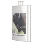 Amerikaanse buffel in het nationale park van Yello Heupfles (Links)