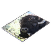 Amerikaanse buffel in het nationale park van Yello Notitieboek (Linkerzijde)