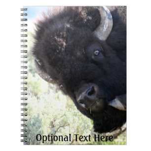 Amerikaanse buffel in het nationale park van Yello Notitieboek