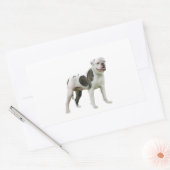 Amerikaanse buldog - bruin-wit rechthoekige sticker (Envelop)