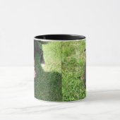 Amerikaanse Bull Terrior Mok (Midden)