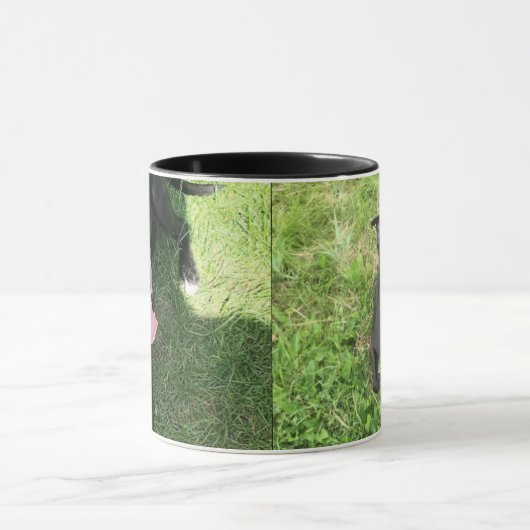 Amerikaanse Bull Terrior Mok (Midden)