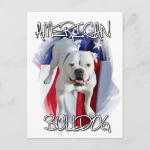 Amerikaanse Bulldog Briefkaart