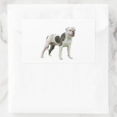 Amerikaanse Bulldog - Bruin-Wit Rechthoekige Sticker (Tas)