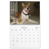 Amerikaanse Bulldog Calendar 2010 Kalender (Feb 2027)
