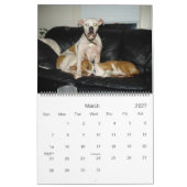 Amerikaanse Bulldog Calendar 2010 Kalender (Mar 2027)