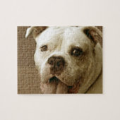Amerikaanse Bulldog Dog Jigzaadpuzzel Legpuzzel (Horizontaal)