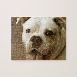 Amerikaanse Bulldog Dog Jigzaadpuzzel Legpuzzel