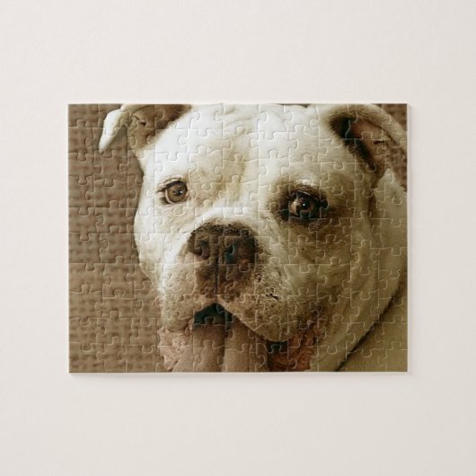 Amerikaanse Bulldog Dog Jigzaadpuzzel Legpuzzel (Horizontaal)