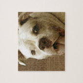 Amerikaanse Bulldog Dog Jigzaadpuzzel Legpuzzel (Verticaal)