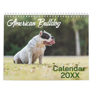 Amerikaanse Bulldog-hondenkalender 2025 Kalender