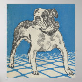 -Amerikaanse Bulldog Illustration (1912) Poster (Voorkant)