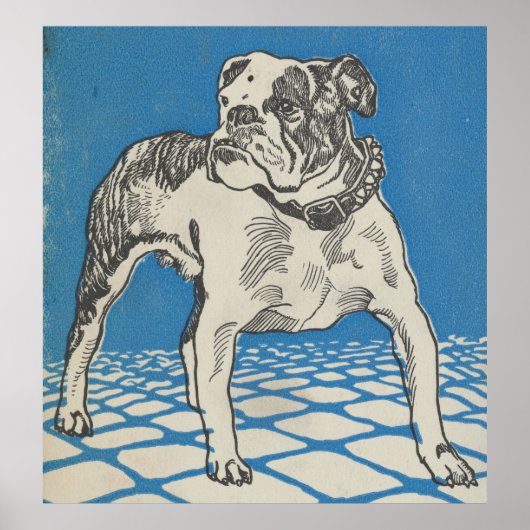-Amerikaanse Bulldog Illustration (1912) Poster (Voorkant)
