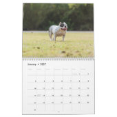 Amerikaanse Bulldog kalender 2026 (Jan 2027)