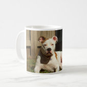 Amerikaanse bulldog koffiemok (Voorkant links)