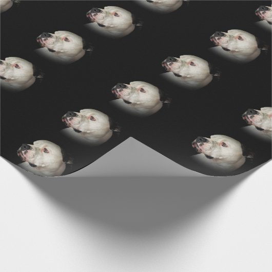 Amerikaanse Bulldog op zwart Cadeaupapier (Hoek)