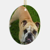 Amerikaanse Bulldog Ornament (Rechts)