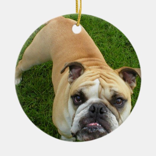 Amerikaanse Bulldog Ornament (Voorkant)