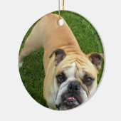 Amerikaanse Bulldog Ornament (Links)