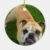 Amerikaanse Bulldog Ornament (Achterkant)