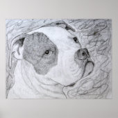 Amerikaanse Bulldog Pet Portrait Art Potcil Tekeni Poster (Voorkant)