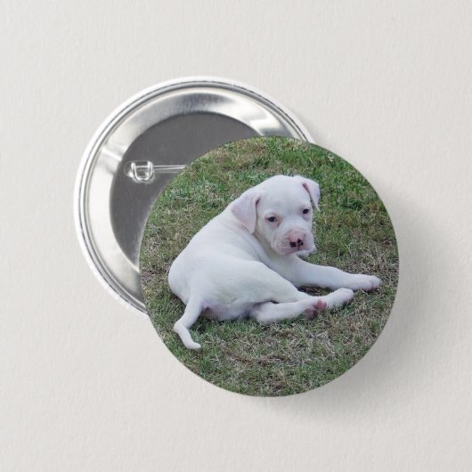 Amerikaanse Bulldog Puppy Button (Voorkant /achterkant)