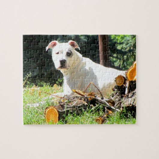 Amerikaanse Bulldog Puzzle Legpuzzel (Horizontaal)