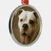 Amerikaanse Bulldog-ronde Metalen Ornament (Rechts)