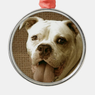 Amerikaanse Bulldog-ronde Metalen Ornament