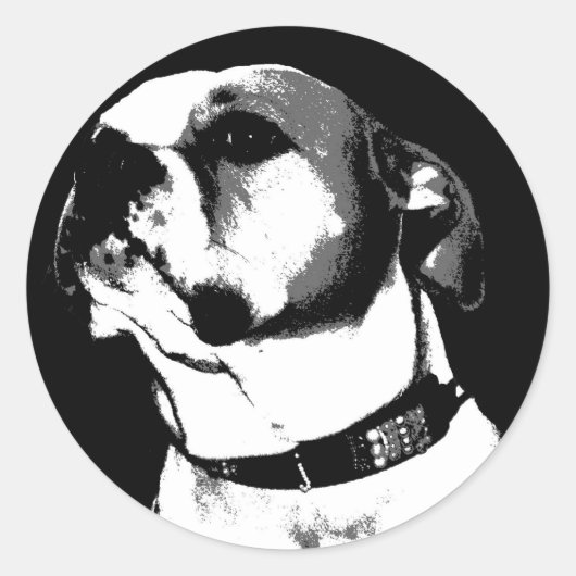 Amerikaanse bulldog sticker (Voorkant)