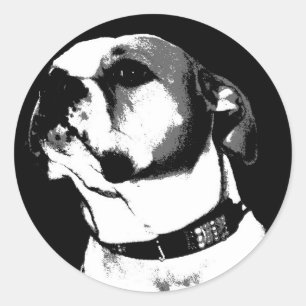 Amerikaanse bulldog sticker