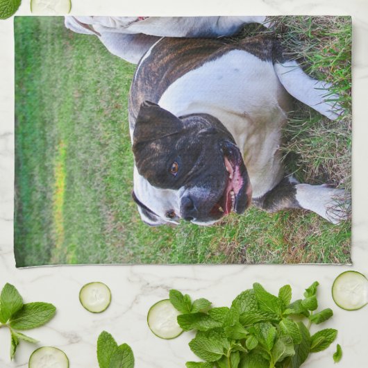 Amerikaanse Bulldog Theedoek (Gevouwen)