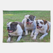 Amerikaanse Bulldog Theedoek (Horizontaal)