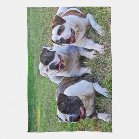 Amerikaanse Bulldog Theedoek (Verticaal)