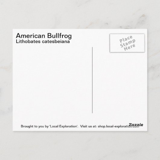 Amerikaanse Bullfrog Briefkaart (Achterkant)