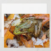 Amerikaanse Bullfrog in Herfst Magnet (Voorkant / Achterkant)