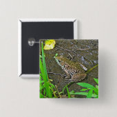 Amerikaanse Bullfrog - Rana catesbeiana Vierkante Button 5,1 Cm (Voorkant /achterkant)