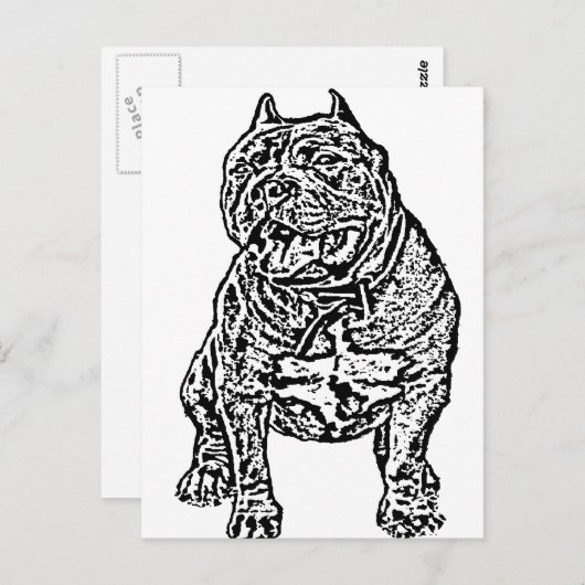 Amerikaanse Bully Dog Briefkaart (Voorkant / Achterkant)