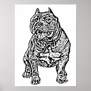 Amerikaanse Bully Dog Poster