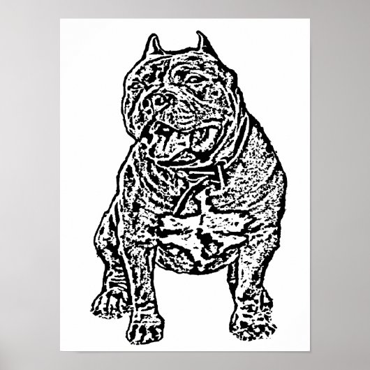 Amerikaanse Bully Dog Poster (Voorkant)