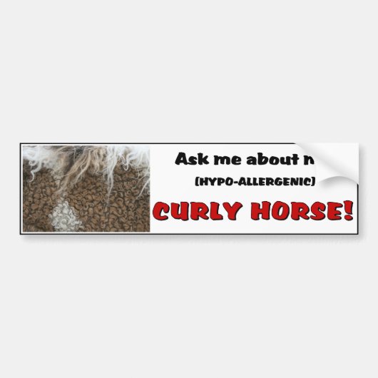 Amerikaanse Bumpersticker met krulpaarden (Voorkant)